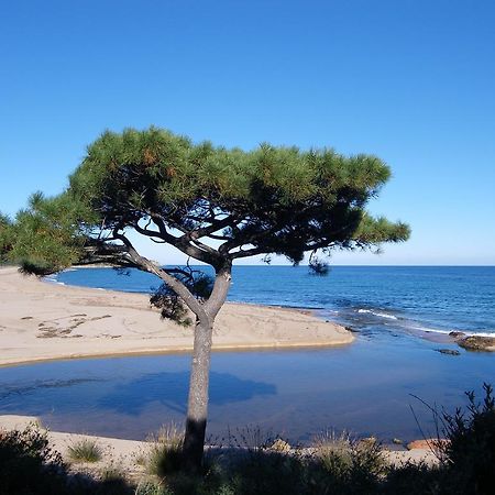 Domaine De La Testa Sainte-Lucie de Porto-Vecchio Kültér fotó