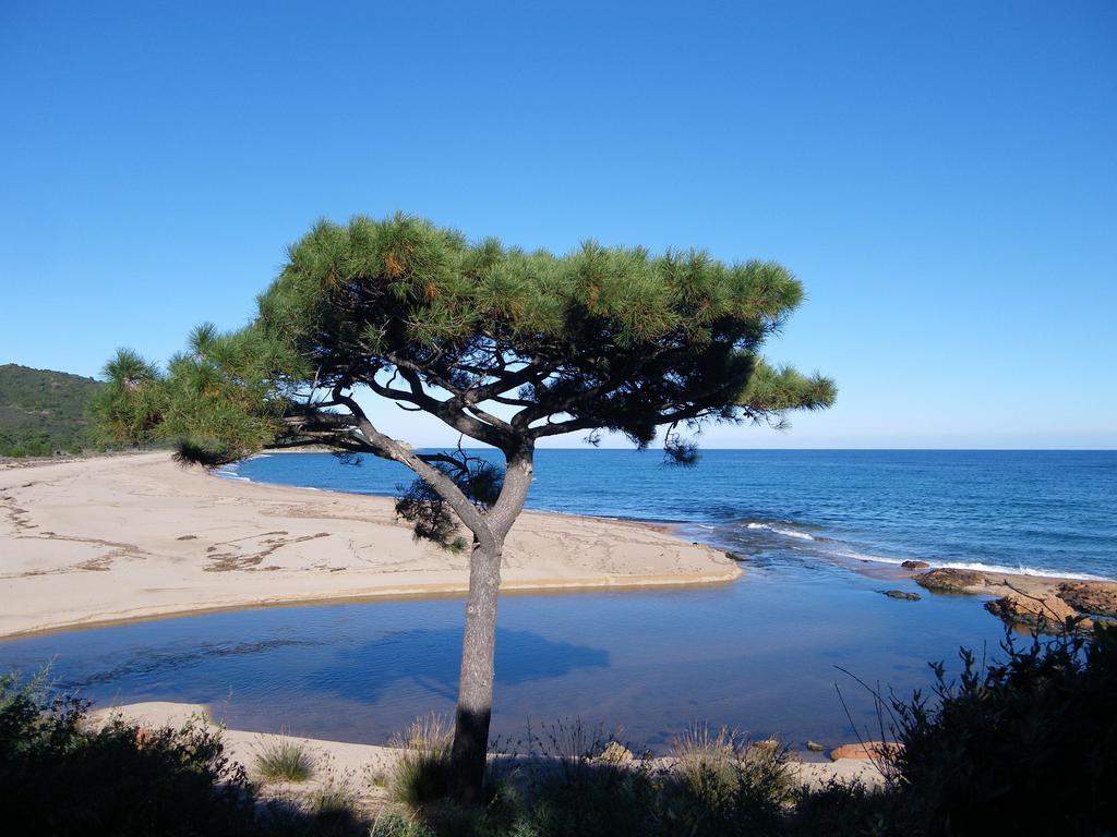 Domaine De La Testa Sainte-Lucie de Porto-Vecchio Kültér fotó